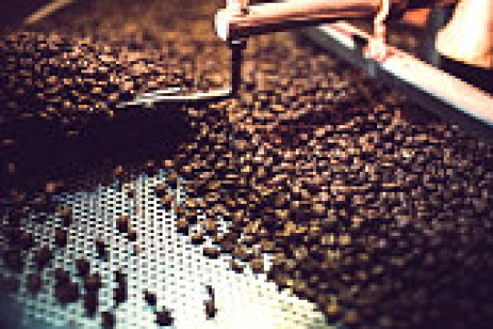 Coffee Roasting and Blending Course